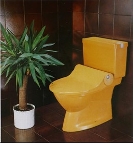 spoel/fohn aangepast toilet Geberella Toilet Op Maat TOM
